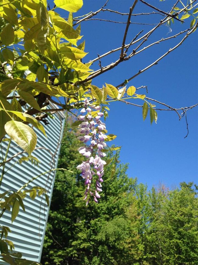 10 Gary Rd, Middleton, NH 03887 - photo 7