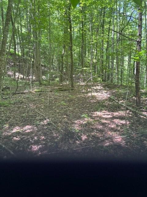 00 MacS Mountain Retreat Ln, Franklin, NC 28734 - photo 2