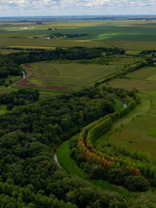 54.23 Acres 2700 North Rd, Ashkum, IL 60911 - photo 6