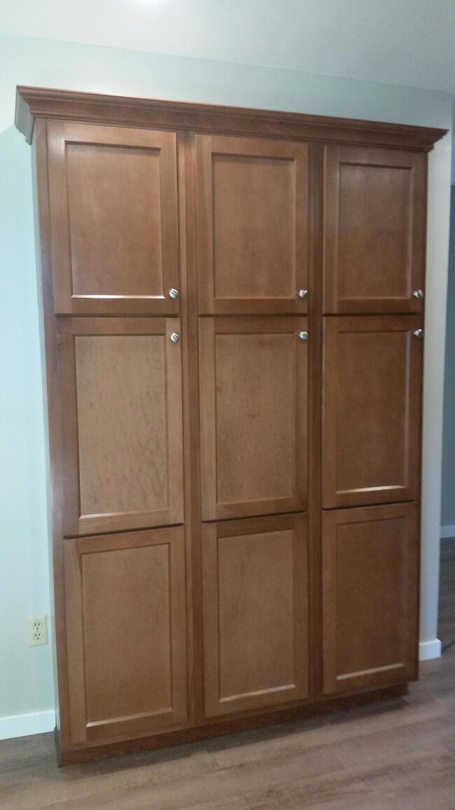 Kitchen pantry