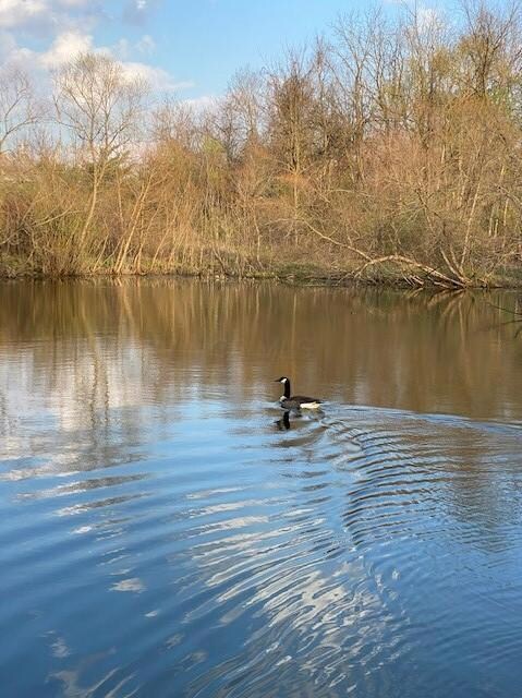 lot 2 pond