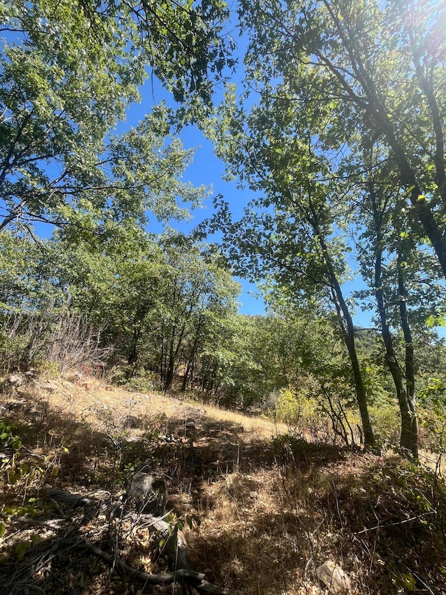 0 Dunn Moody Rd, Round Mountain, CA 96084 - photo 2