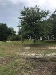 19480 & 19428 NW 304th St, Okeechobee, FL 34972 - photo 4