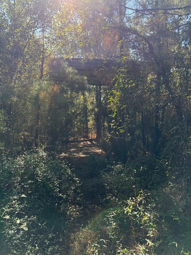 18830 Florida 73, Blountstown, FL 32424 - photo 5