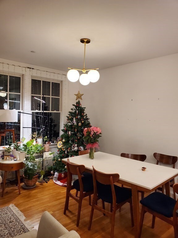 429 Norfolk St unit 13, Somerville, MA 02143 - photo 2
