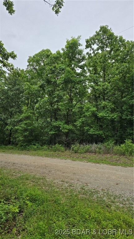 1548 Astrid Loop, Union Township, MO 65326 - photo 4