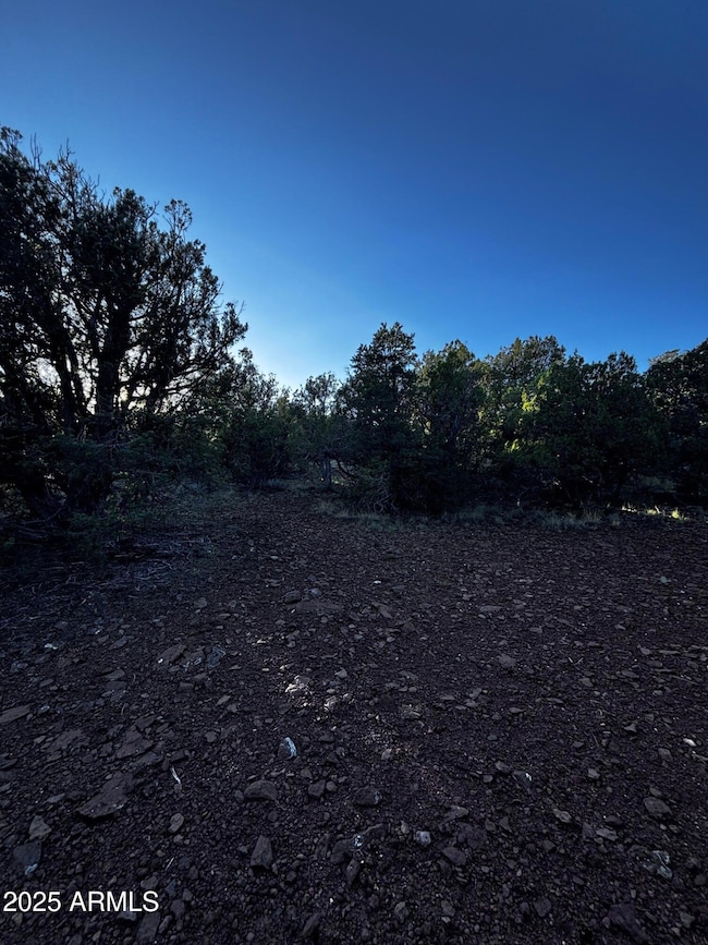 0 N Soaring Hawk Rd unit 498, Seligman, AZ 86337 - photo 4