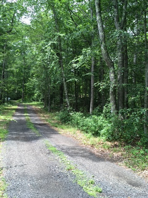 Shared Driveway to Lot 1