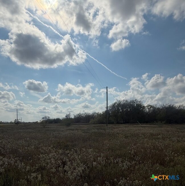 00 Simpson Ranch Rd, Runge, TX 78151 - photo 4