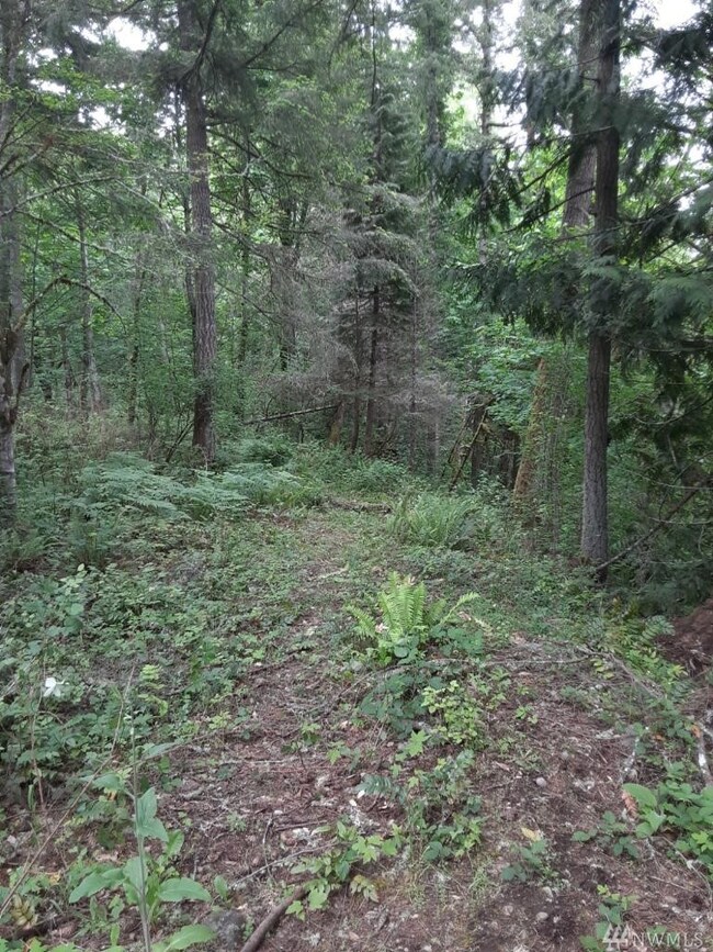 0 Orville Rd E unit 1602213, Orting, WA 98360 - photo 6