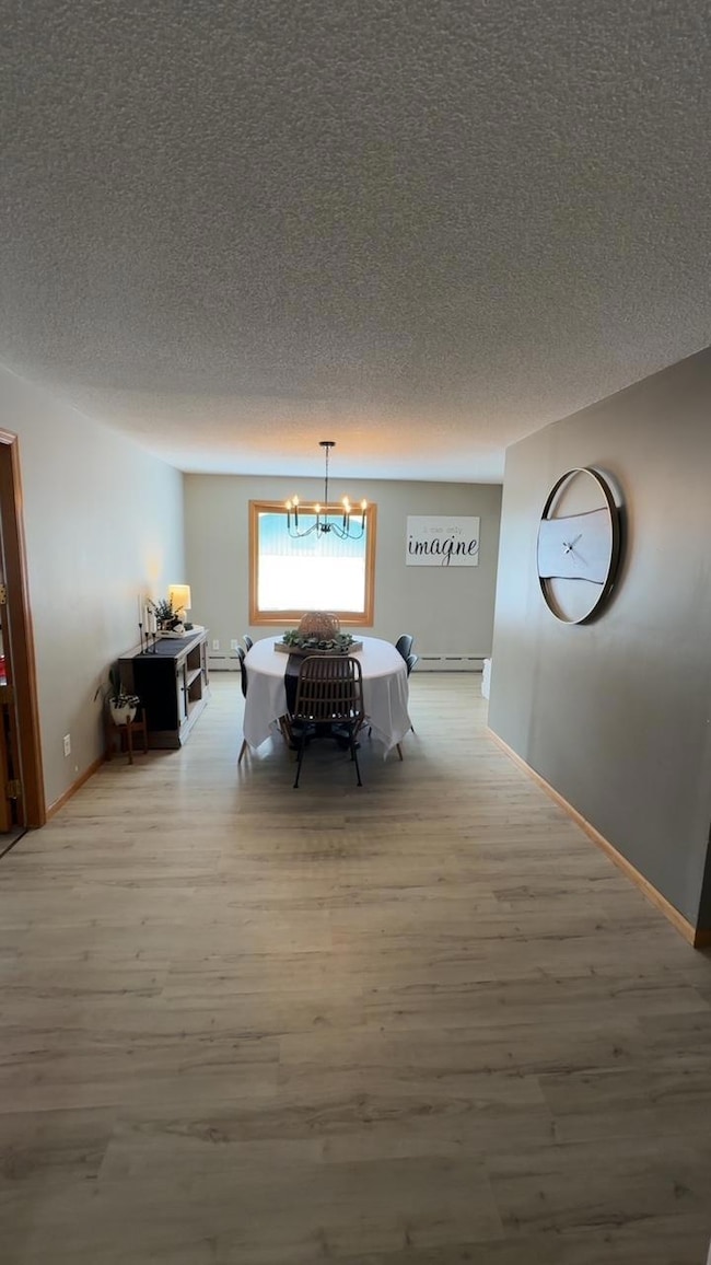 503 6th St NE, Roseau, MN 56751 - photo 6