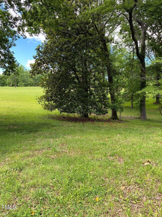 Front yard