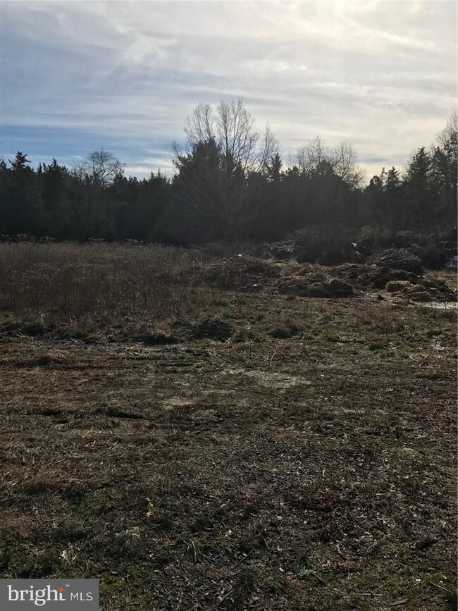 Lot 4.04 Nugentown Rd, Tuckerton, NJ 08087 - photo 4
