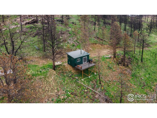 1138 Deer Horn Trail, Bellvue, CO 80512 - photo 3