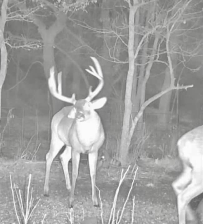 TBD E 484 Rd, West Siloam Springs, OK 74338 - photo 2