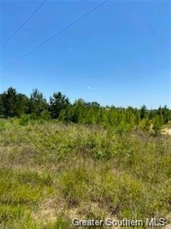 0 Stanley Rd unit SWL25001841, Leesville, LA 71446 - photo 3