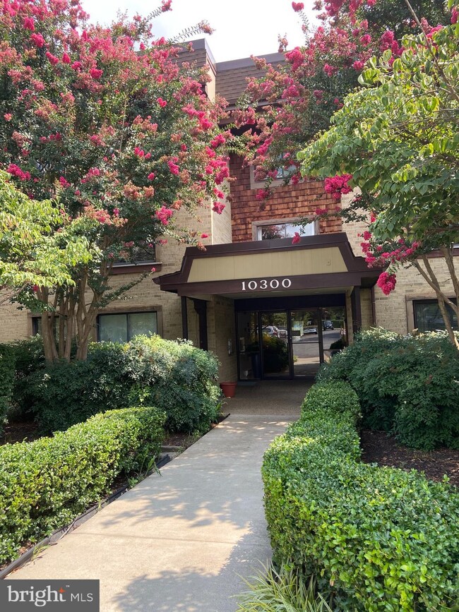 Treebrooke unit 104, Oakton, VA 22124 - photo 2