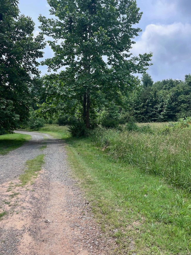 0 Blossom Loop, Clinton, AR 72031 - photo 7