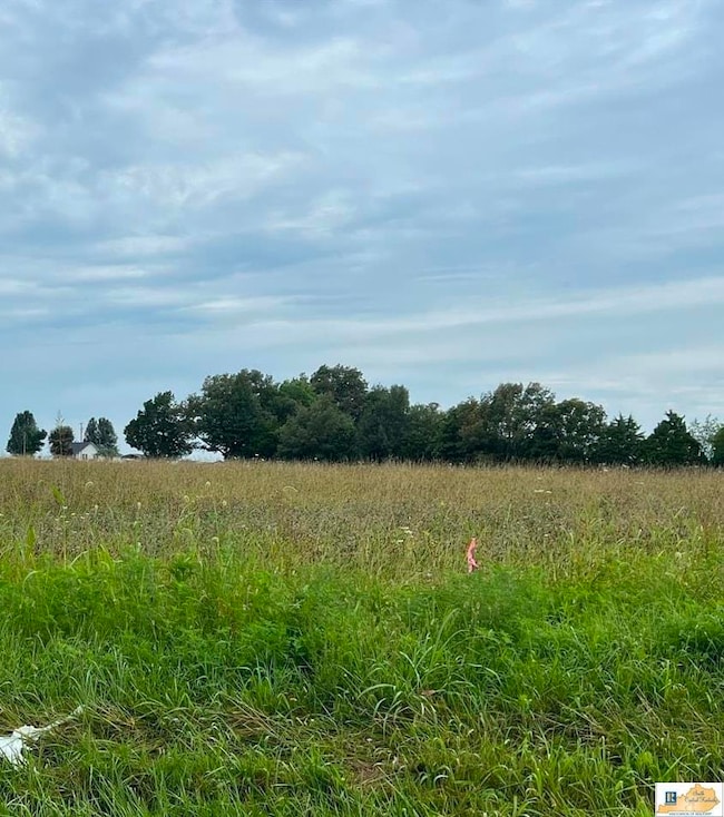 4171 Coral Hill Rd, Glasgow, KY 42141 - photo 2