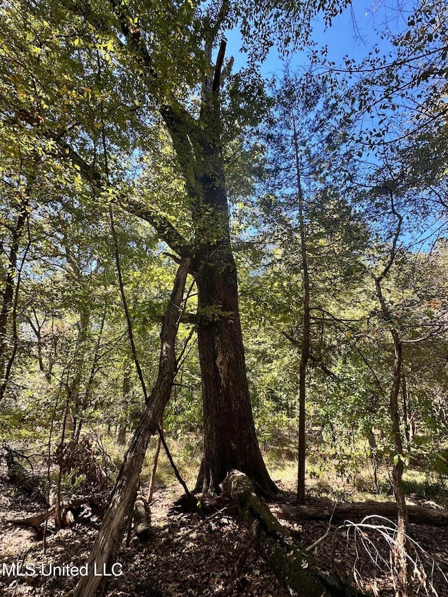 0 St Augustine Dr unit 4129175, Madison, MS 39110 - photo 2