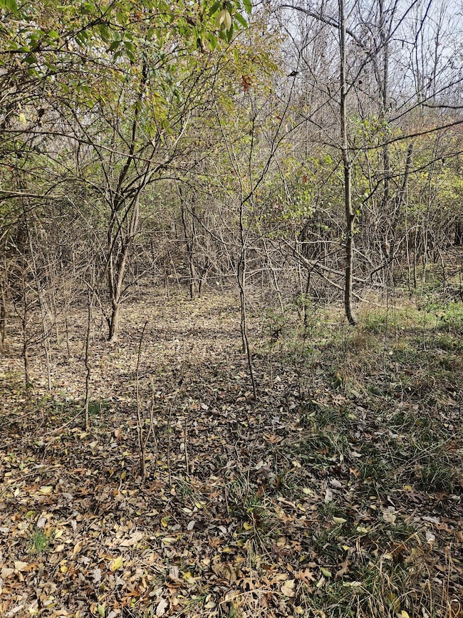 3714 Homeland Dr, Nashville, TN 37218 - photo 2