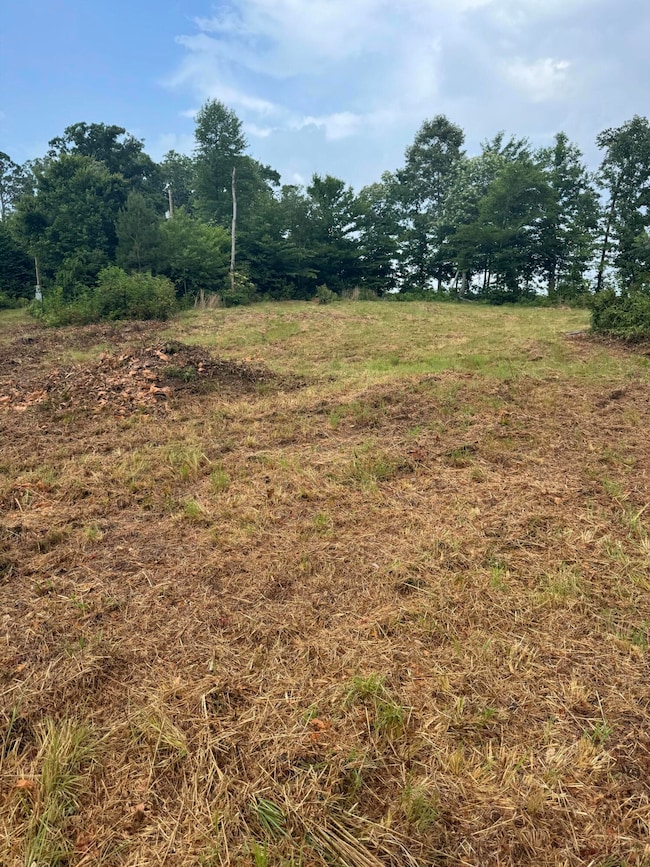 10597 Snow Creek Rd, Penhook, VA 24137 - photo 4