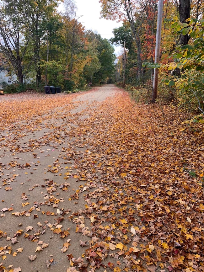 293 Bear Hill Rd unit 1, Loudon, NH 03307 - photo 3