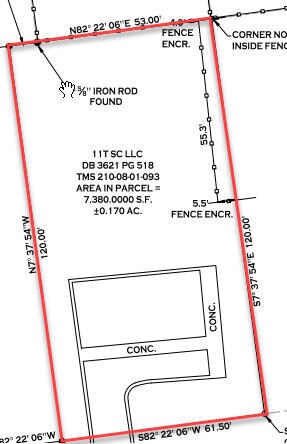 100 Weeping Cypress - Lot B