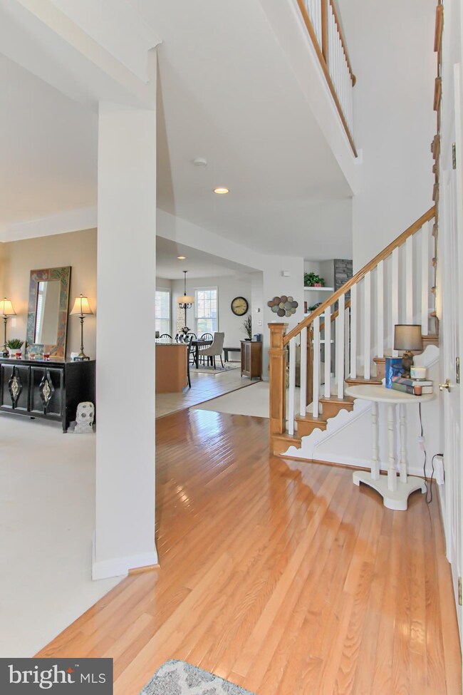 25014 Mineral Springs Cir, Stone Ridge, VA 20105 - photo 3