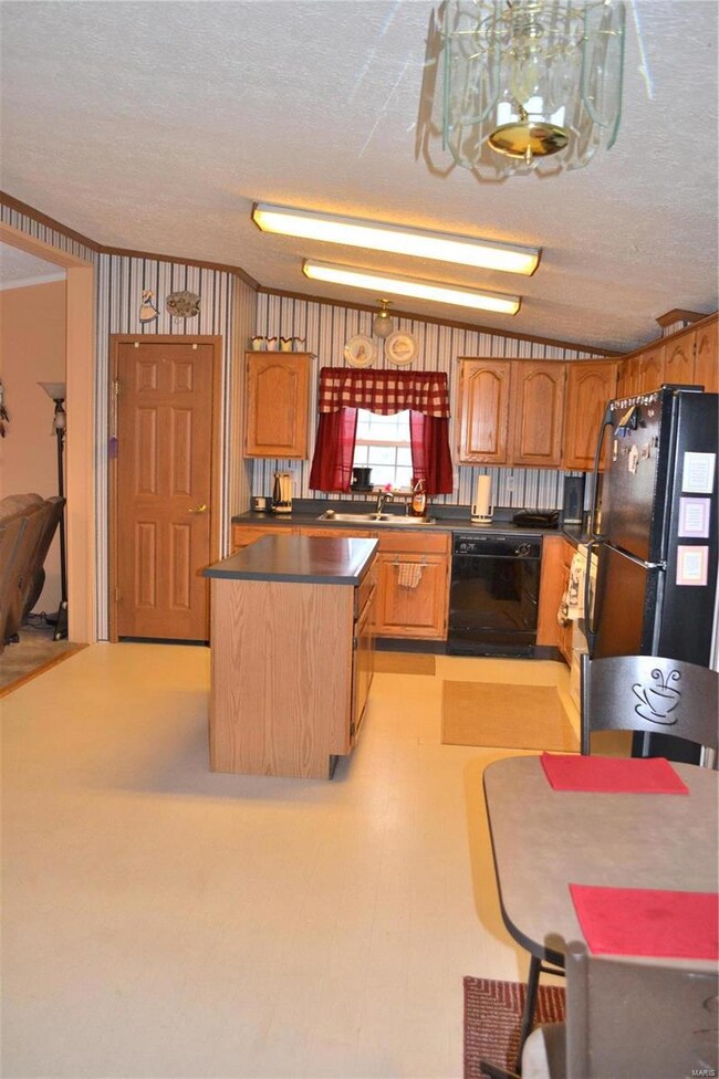 11090 County Road 2120, Rolla, MO 65401 - photo 6