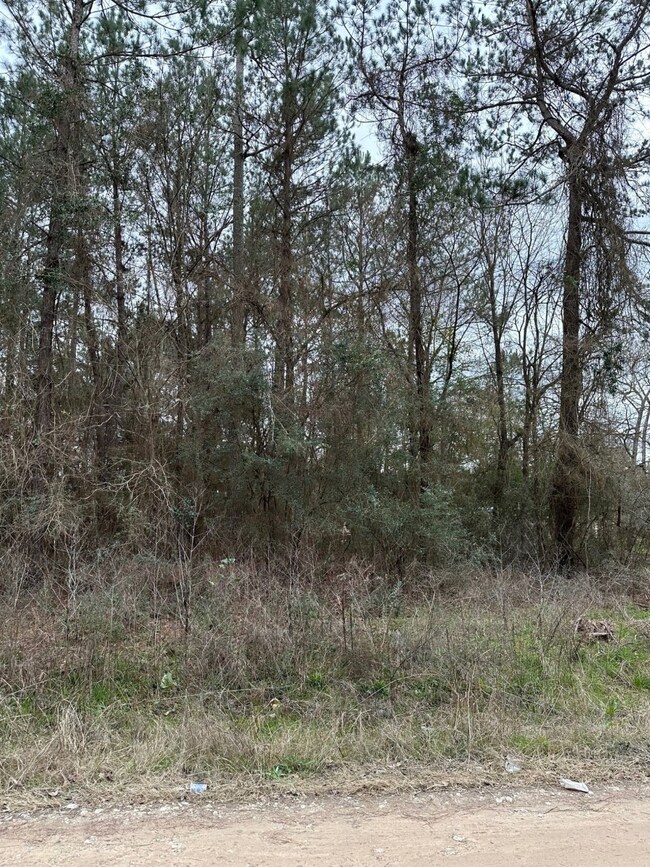 00 Magnolia Spring, Plantersville, TX 77363 - photo 3