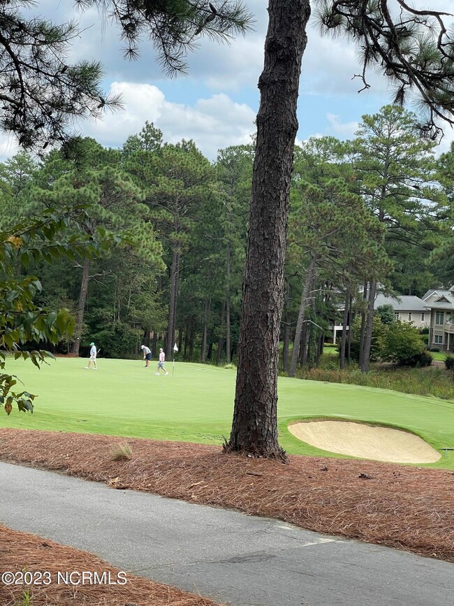 13th Green