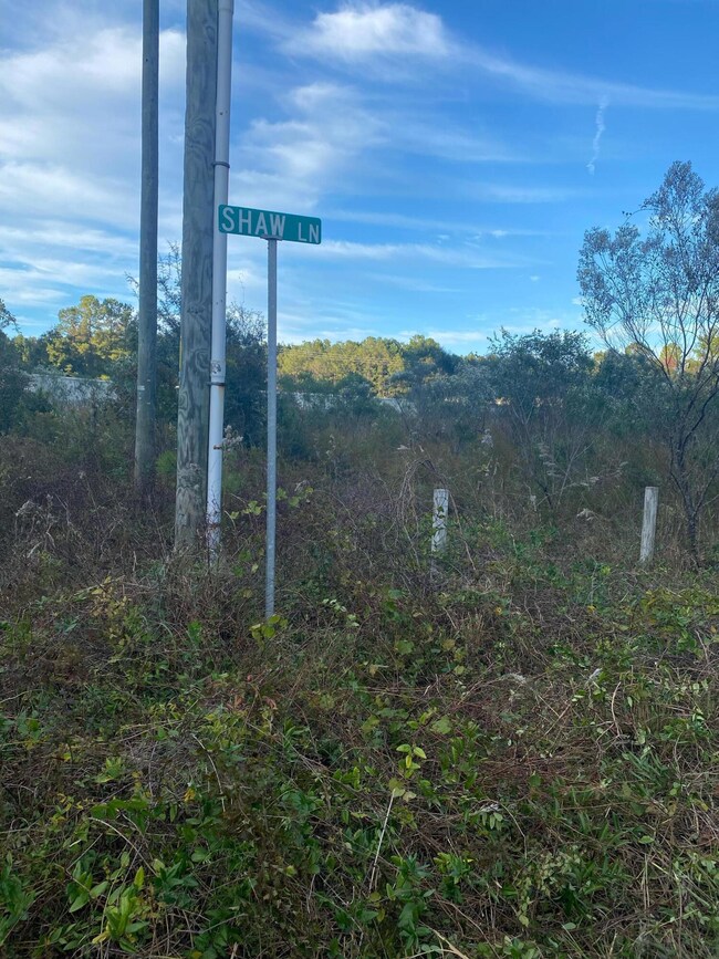 Shaw Lane