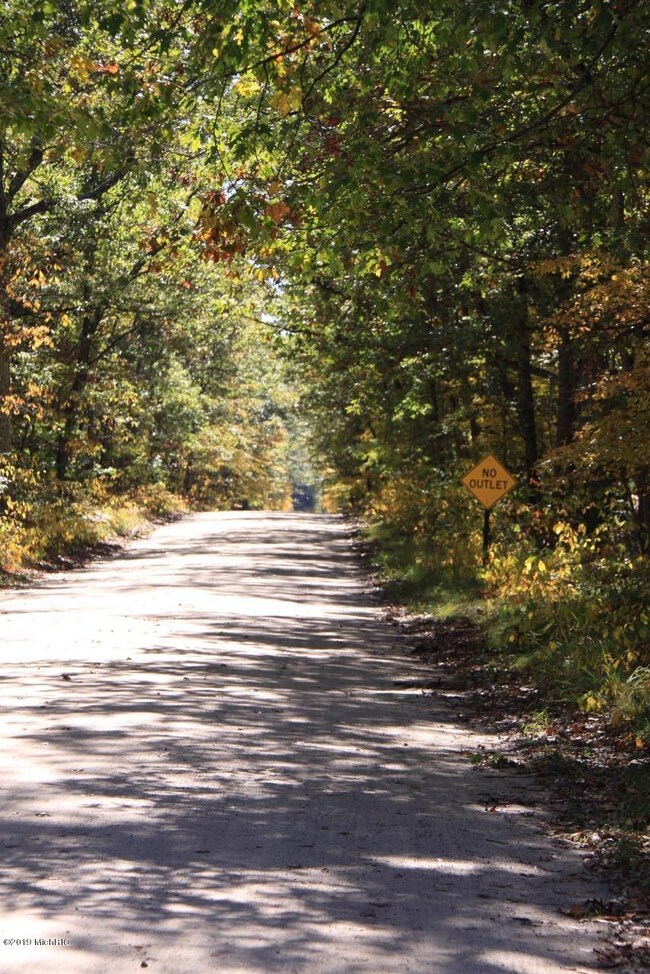 8920 S Hayes Rd, Baldwin, MI 49304 - photo 5