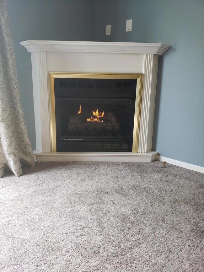 Bashan Fireplace 2