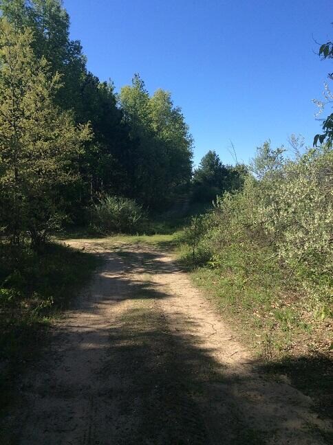 9198 W Grant St, Beaver Township, MI 49309 - photo 3