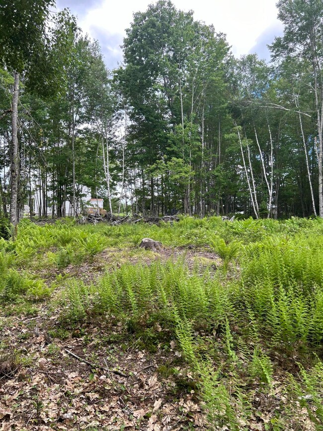 18 Shady Ln, Lisbon, ME 04250 - photo 5