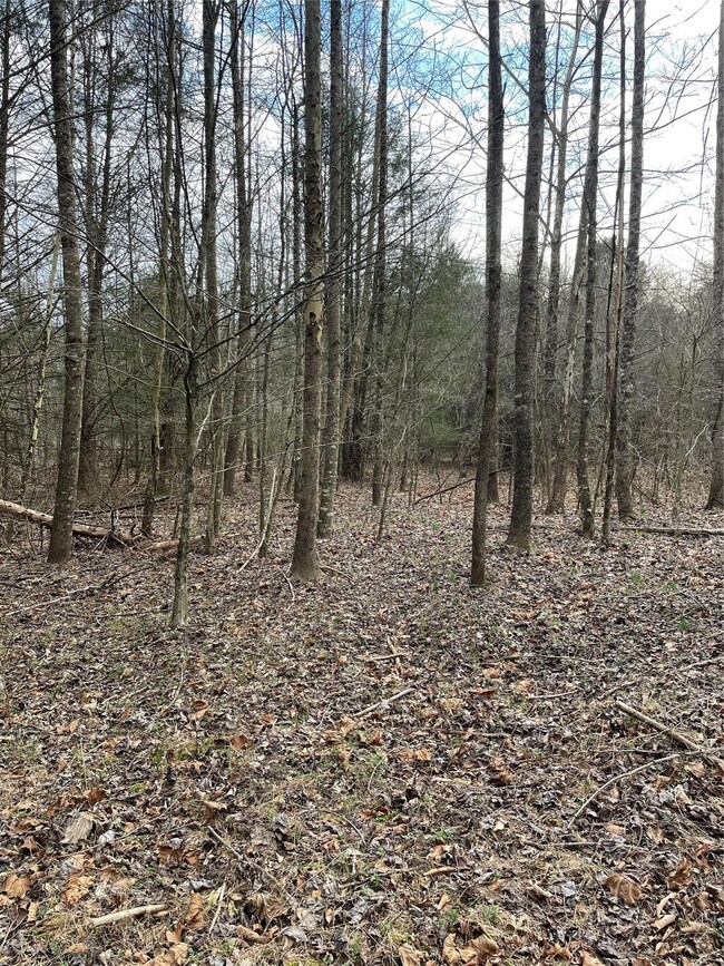 Old 421 Boone Trail, Purlear, NC 28665 - photo 7