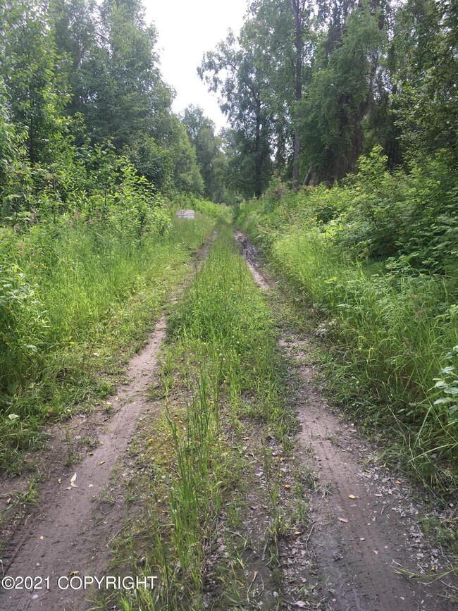 L3 BE E Wolf Trail, Trapper Creek, AK 99683 - photo 3