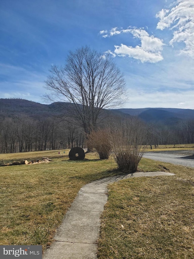 82 Cove Farm Ln, Franklin, WV 26807 - photo 5