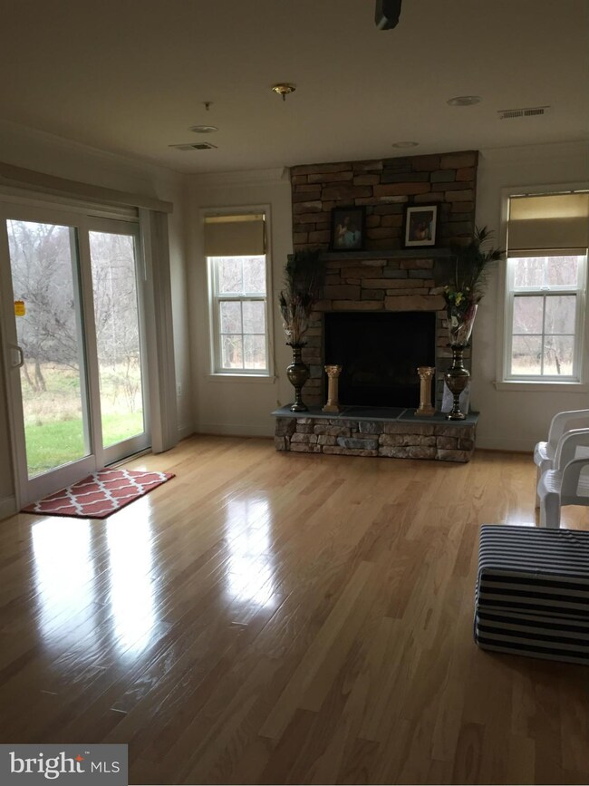 4319 Vintage Ivy Ln, Owings Mills, MD 21117 - photo 5