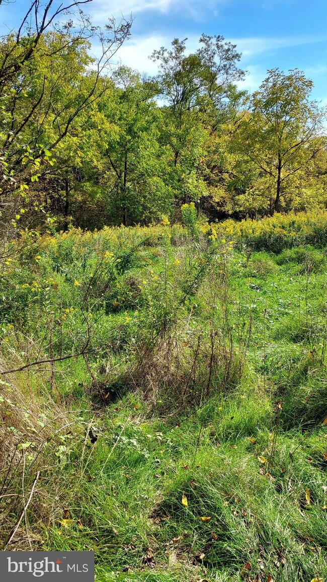 0 Lingenfelter Rd Hillview Dr unit PABD2000734, Bedford, PA 15522 - photo 4