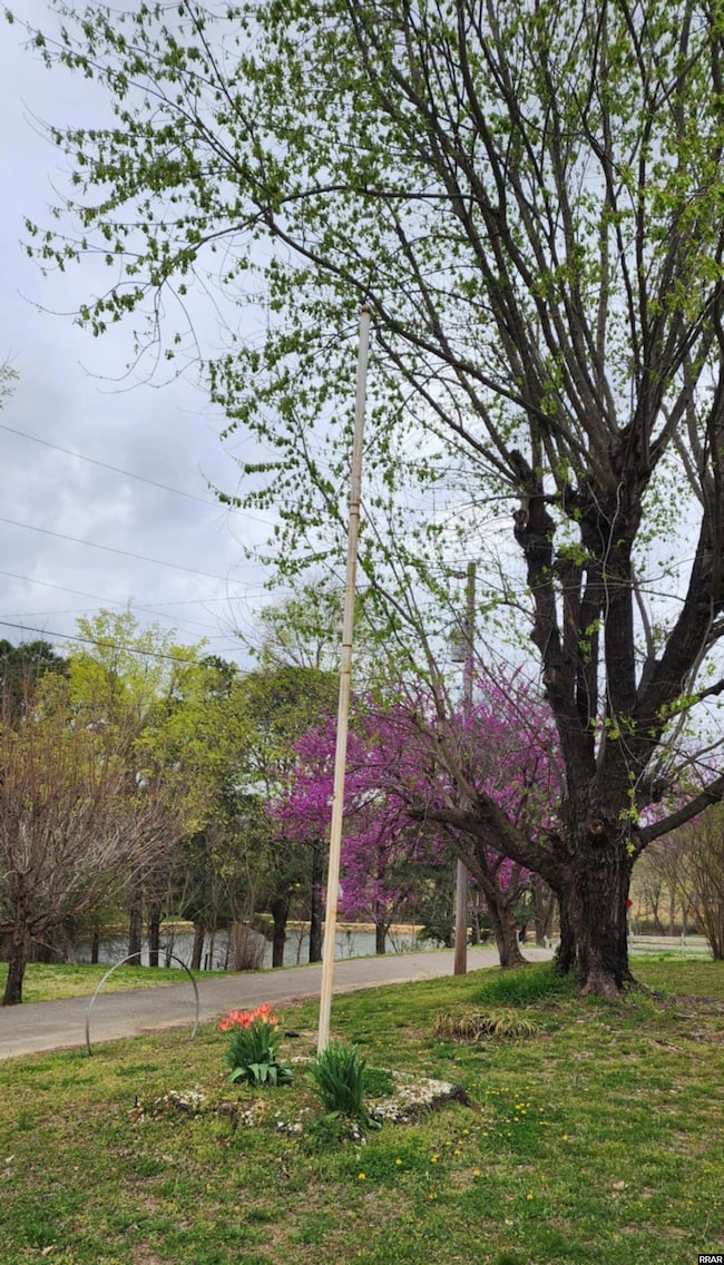121 Easley St unit 125 Easley, Troy, TN 38260 - photo 3