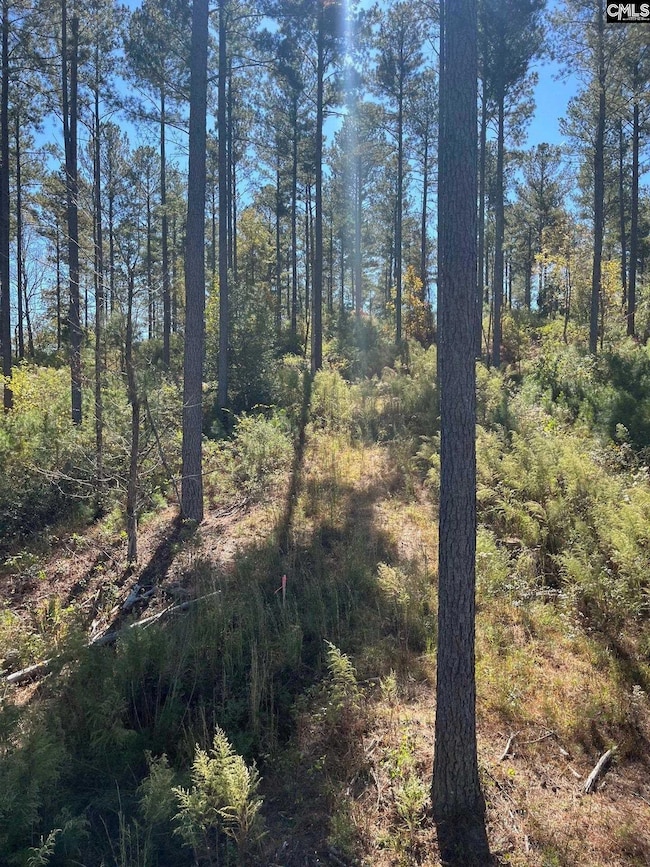 DRF 5 Dawkins Rd unit DRF 5, Pacolet, SC 29372 - photo 6