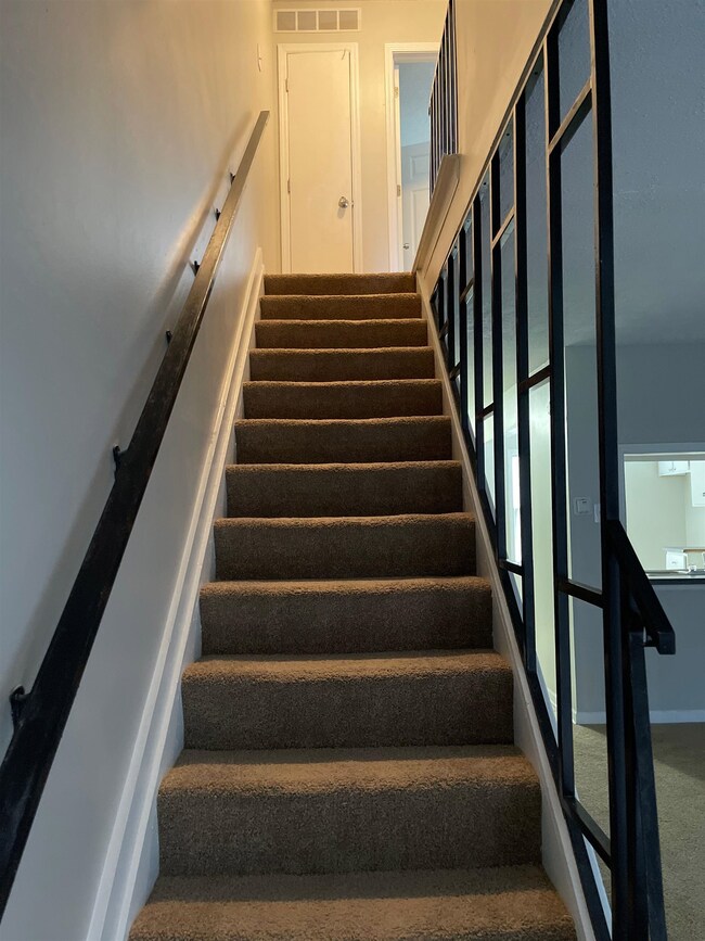 Staircase featuring carpet floors