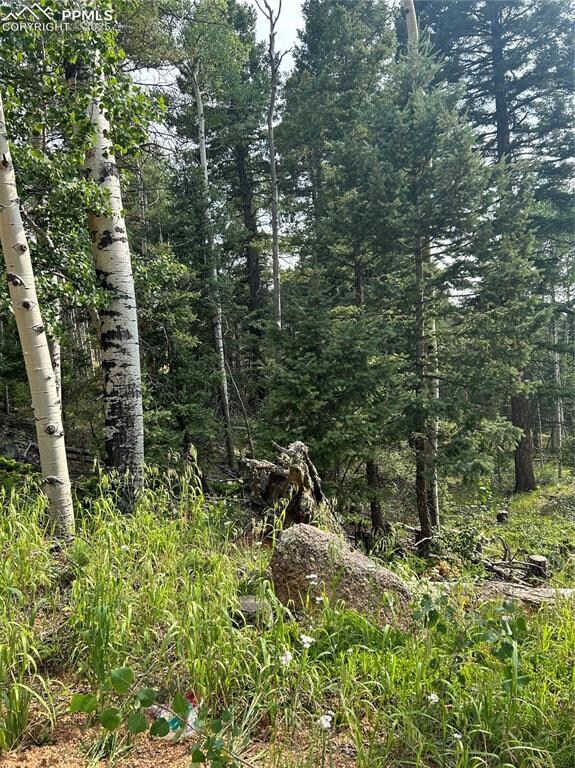 View of nature
