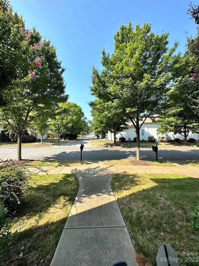 Front Door Point of View