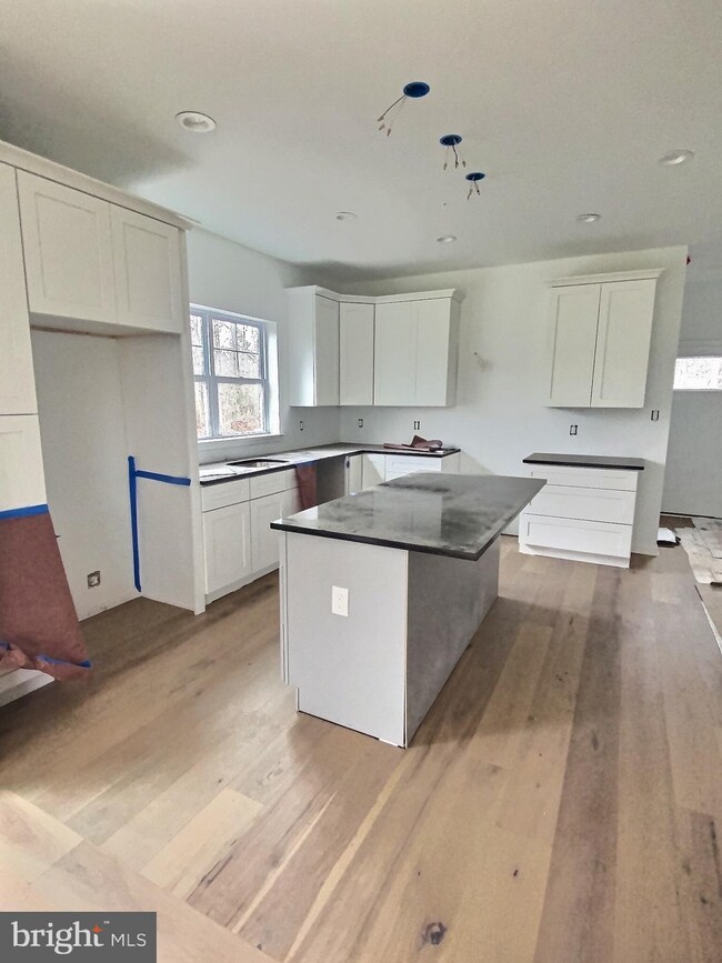 1042 Dickerson Rd, North Wales, PA 19454 - photo 3