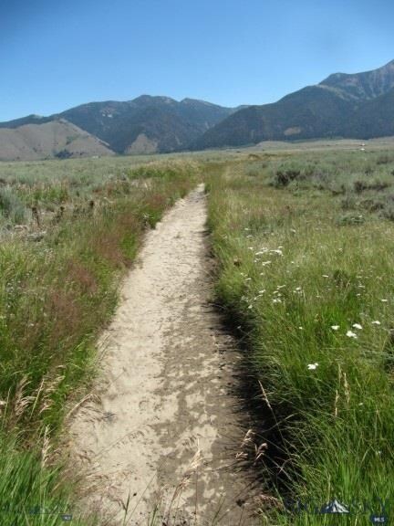 This seasonal creek runs along the property line