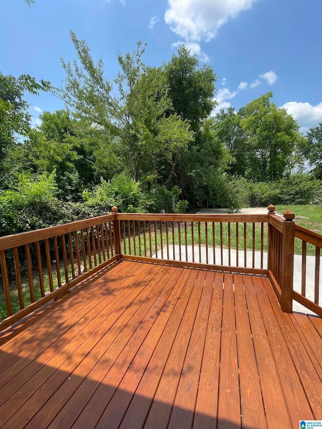 3520 Jefferson Ave SW, Birmingham, AL 35221 - photo 4